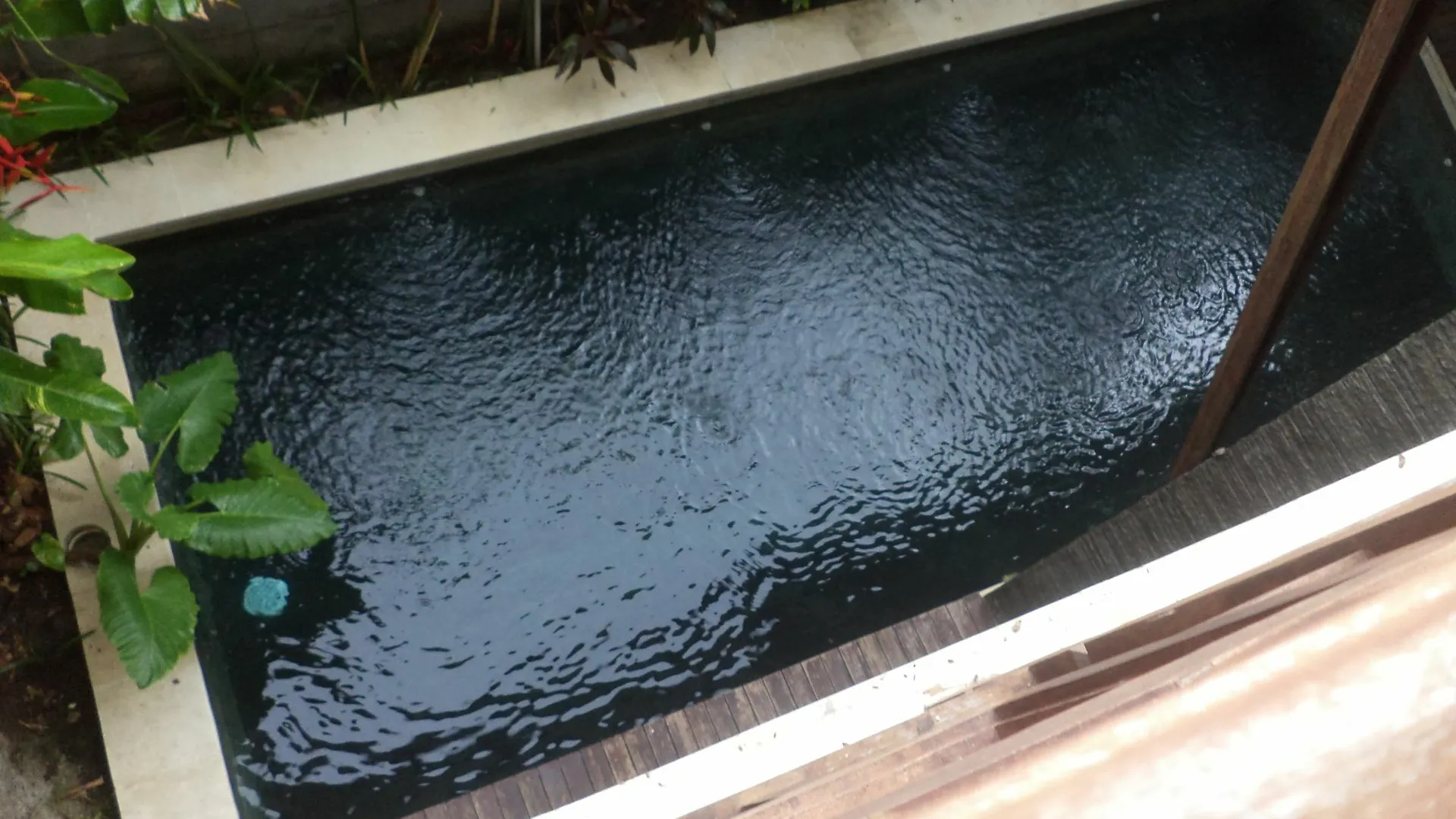 Villa Dewi Seminyak   Seminyak (Bali)